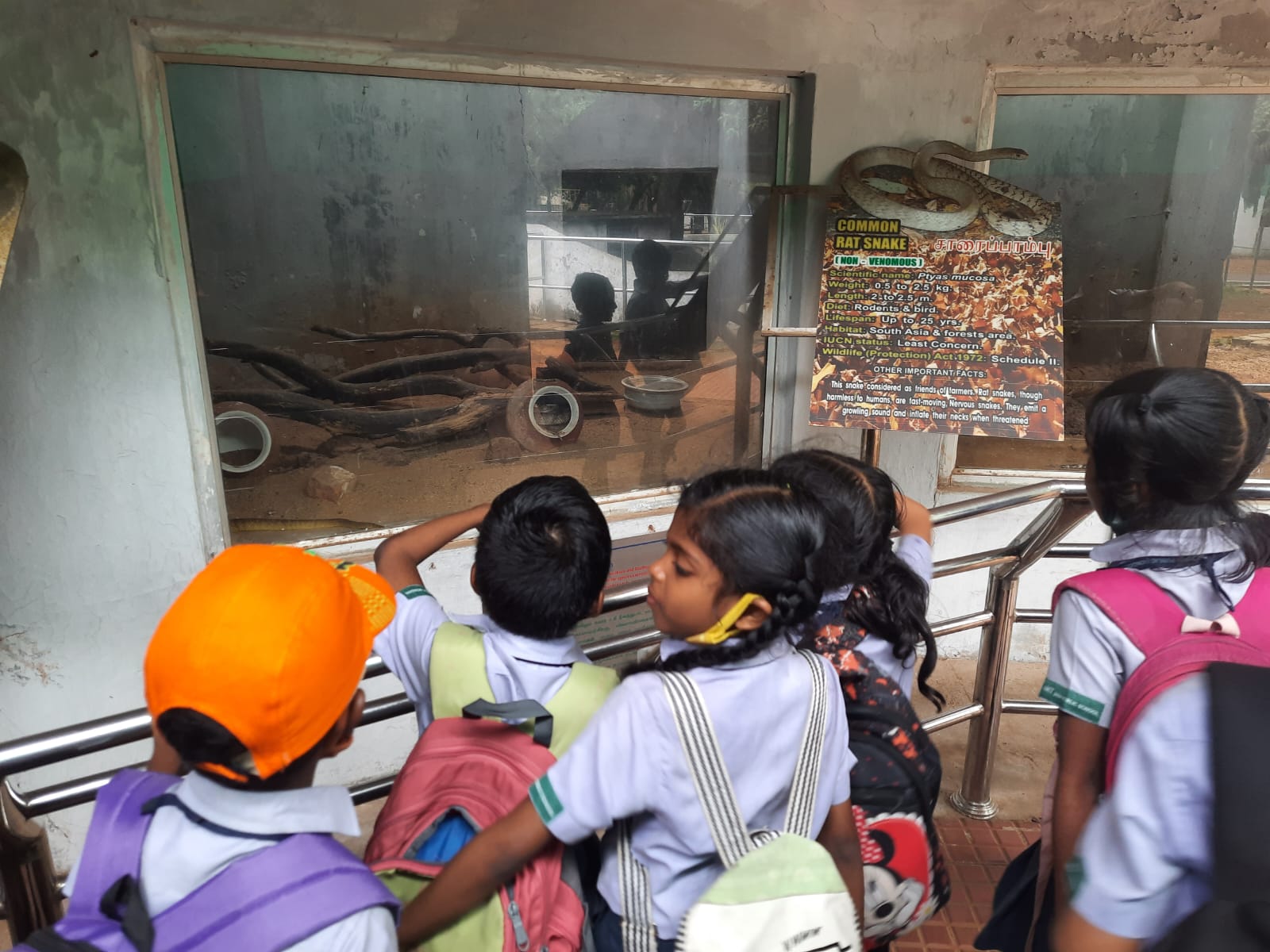 FIELD TRIP - CLASSES  I -X